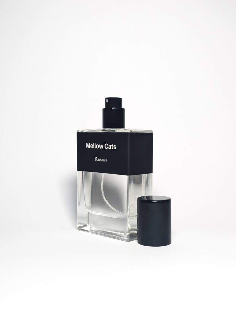 Mellow Cats Impression of noir by hunkemöller