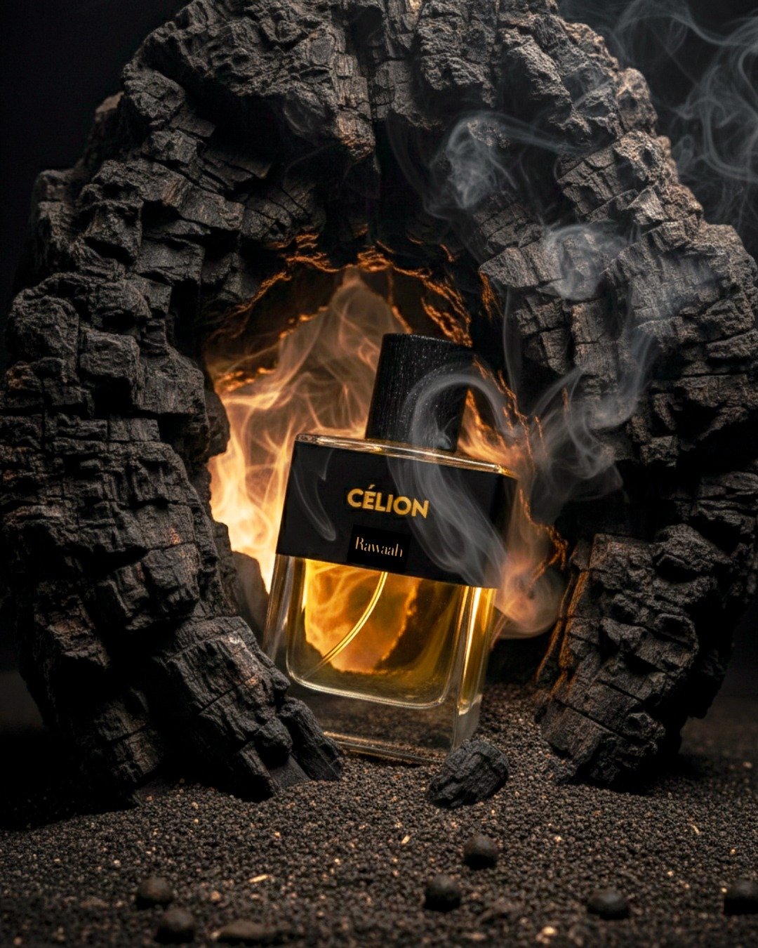 WhatsApp Image 2026-02-03 at 02.07.19